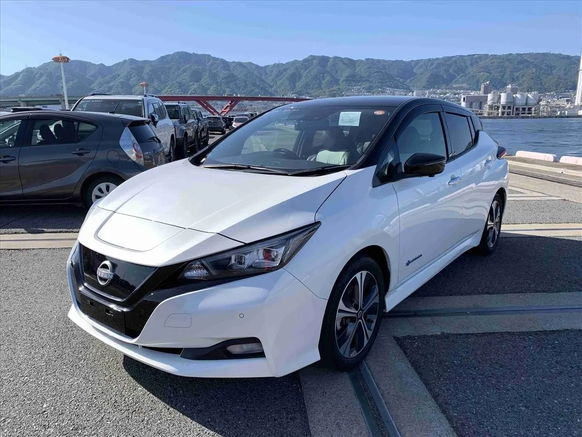 2021 Nissan Leaf X V Selection (40kWh), photo 3