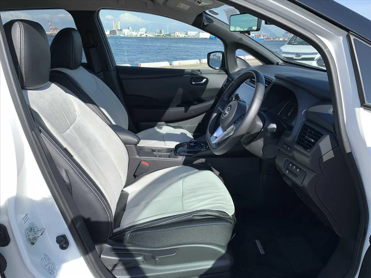 2021 Nissan Leaf X V Selection (40kWh), photo 6