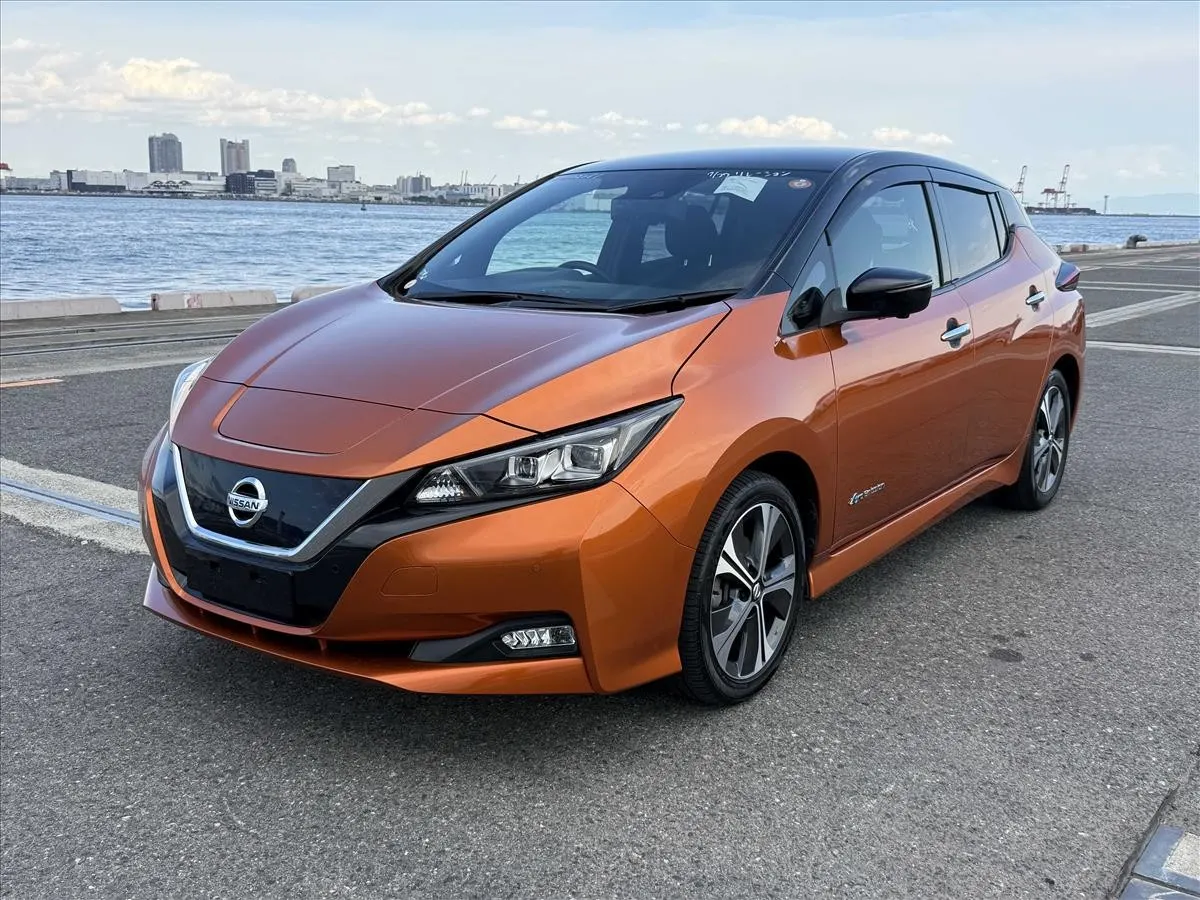 2021 Nissan Leaf X V Selection (40kWh) — photo 3