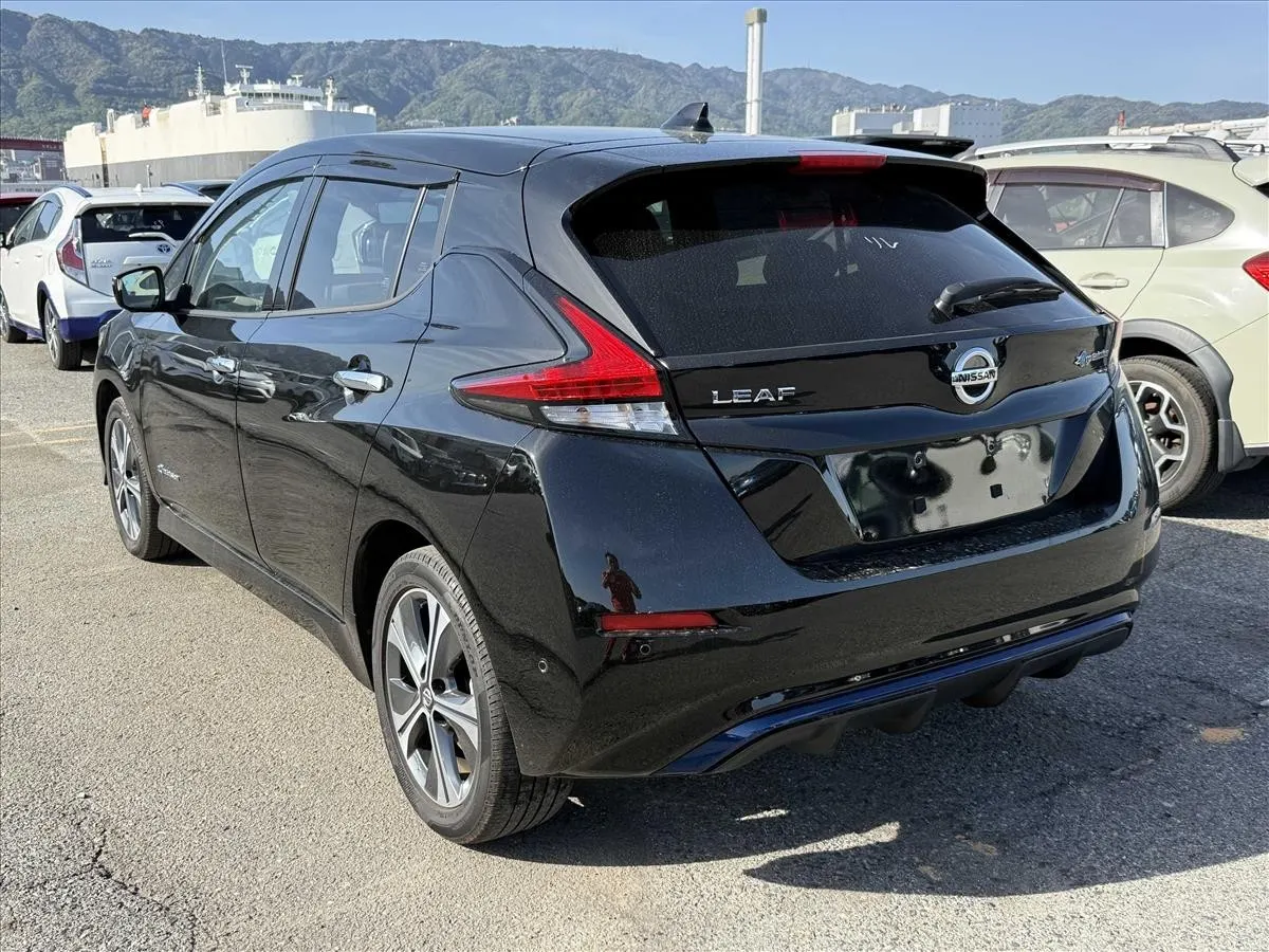2020 Nissan Leaf e+ G (62kWh) — photo 5