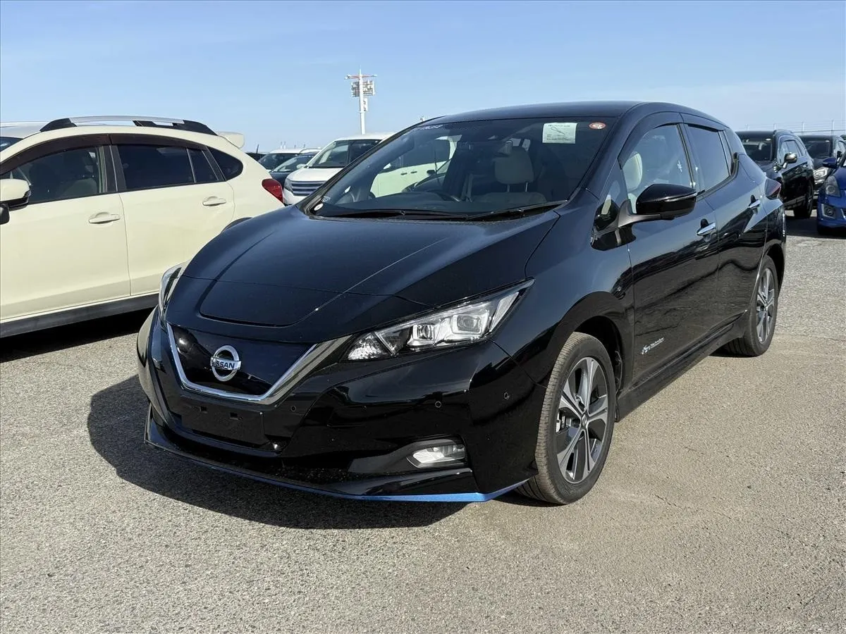 2020 Nissan Leaf e+ G (62kWh) — photo 3