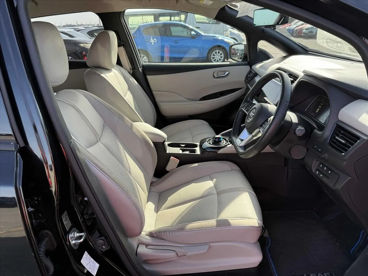 2020 Nissan Leaf e+ G (62kWh) — photo 6