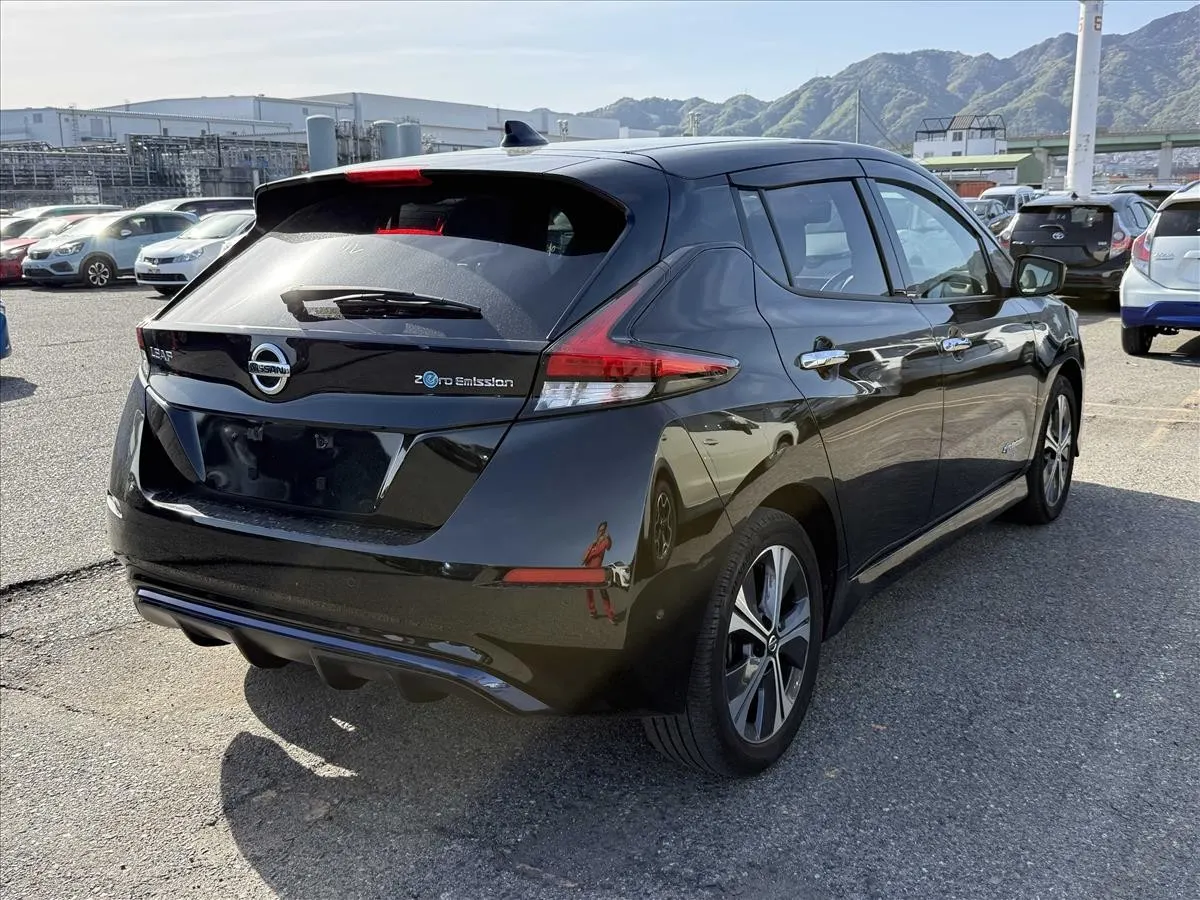 2020 Nissan Leaf e+ G (62kWh) — photo 2