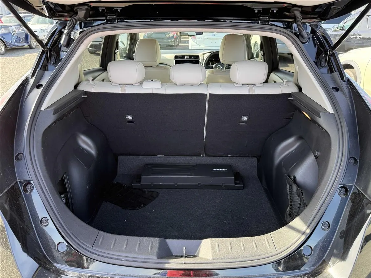 2020 Nissan Leaf e+ G (62kWh) — photo 10