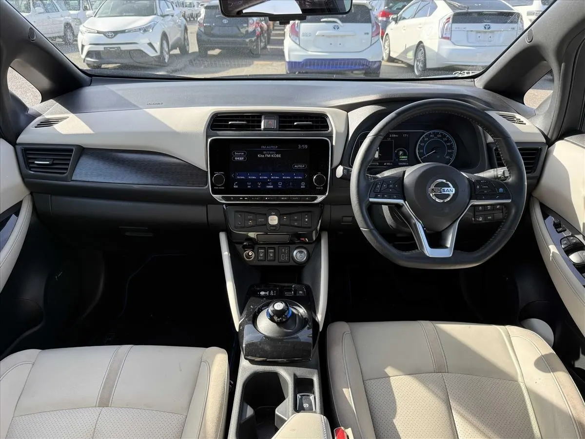 2020 Nissan Leaf e+ G (62kWh) — photo 8