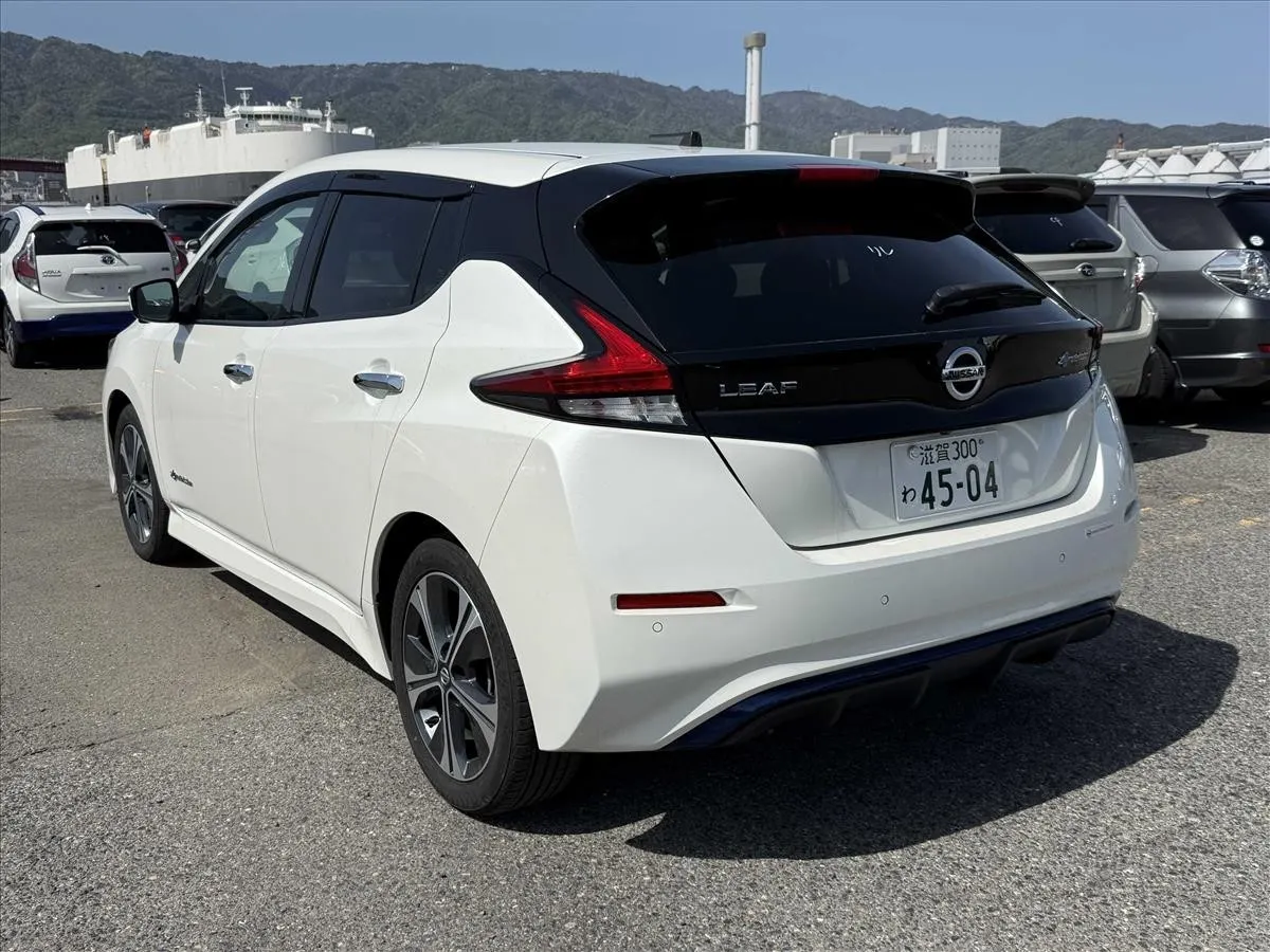 2019 Nissan Leaf X V Selection (40kWh) — photo 4