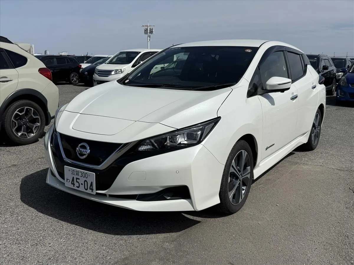 2019 Nissan Leaf X V Selection (40kWh) — photo 3