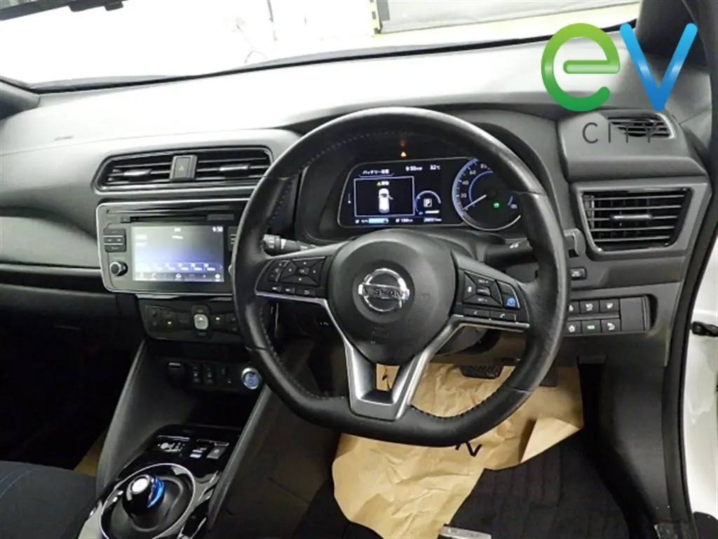 2018 Nissan LEAF G 40kWh Pro Pilot, 360 Camera, photo 5