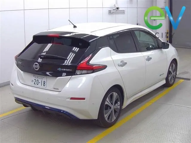 2018 Nissan LEAF G 40kWh Pro Pilot, 360 Camera, photo 2