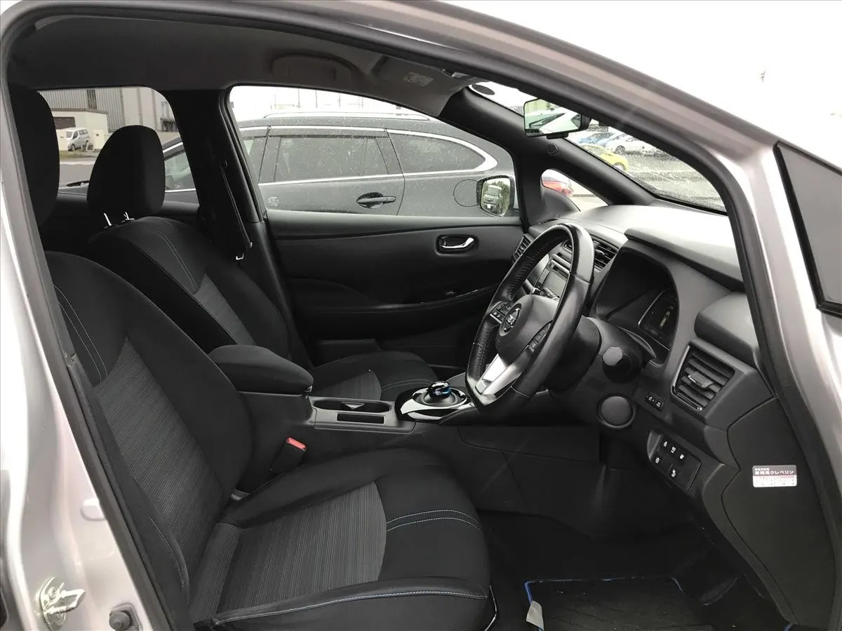 2019 Nissan Leaf e+ X (62kWh) — photo 6