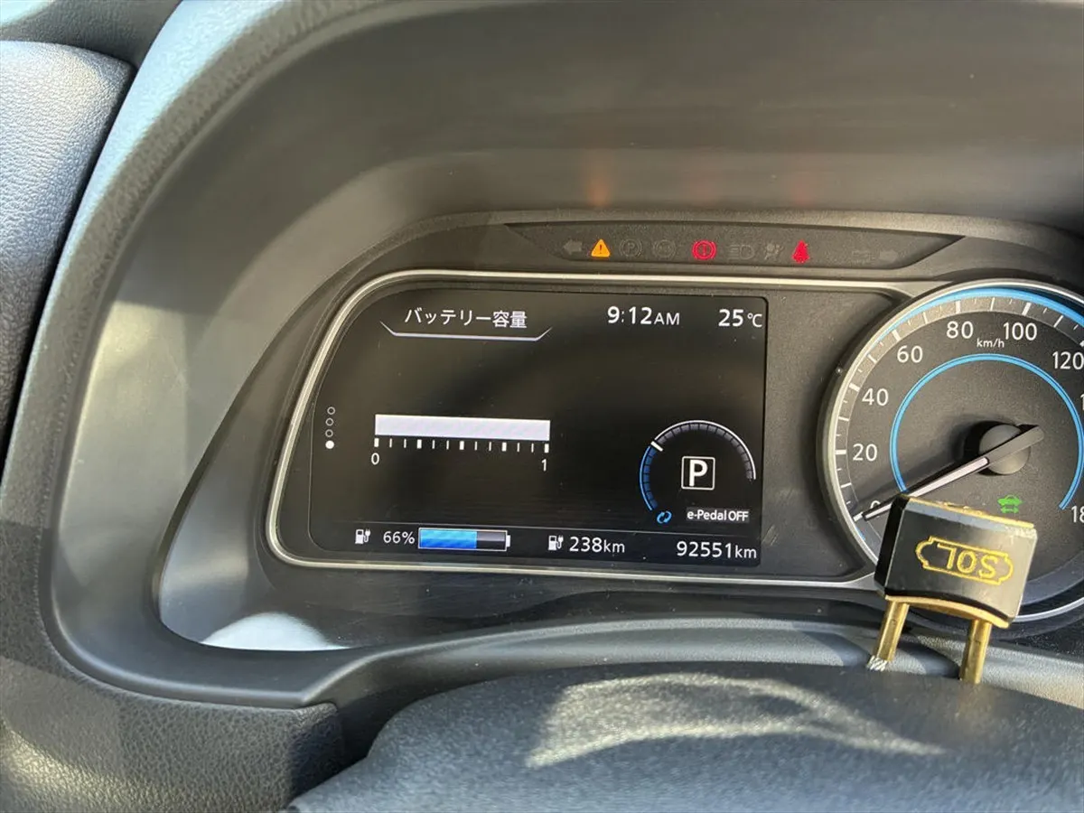2019 Nissan Leaf e+ X (62kWh) — photo 7