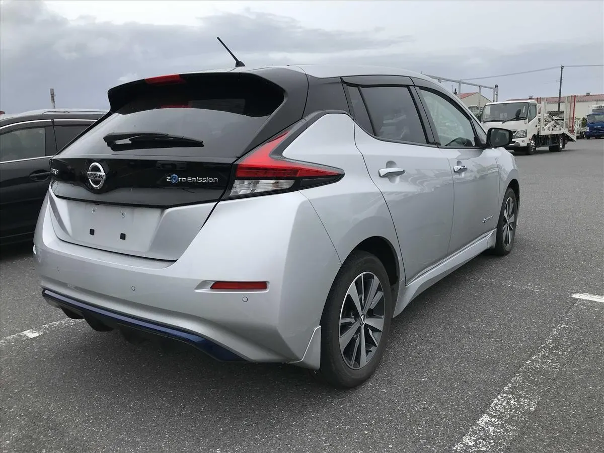 2019 Nissan Leaf e+ X (62kWh) — photo 2