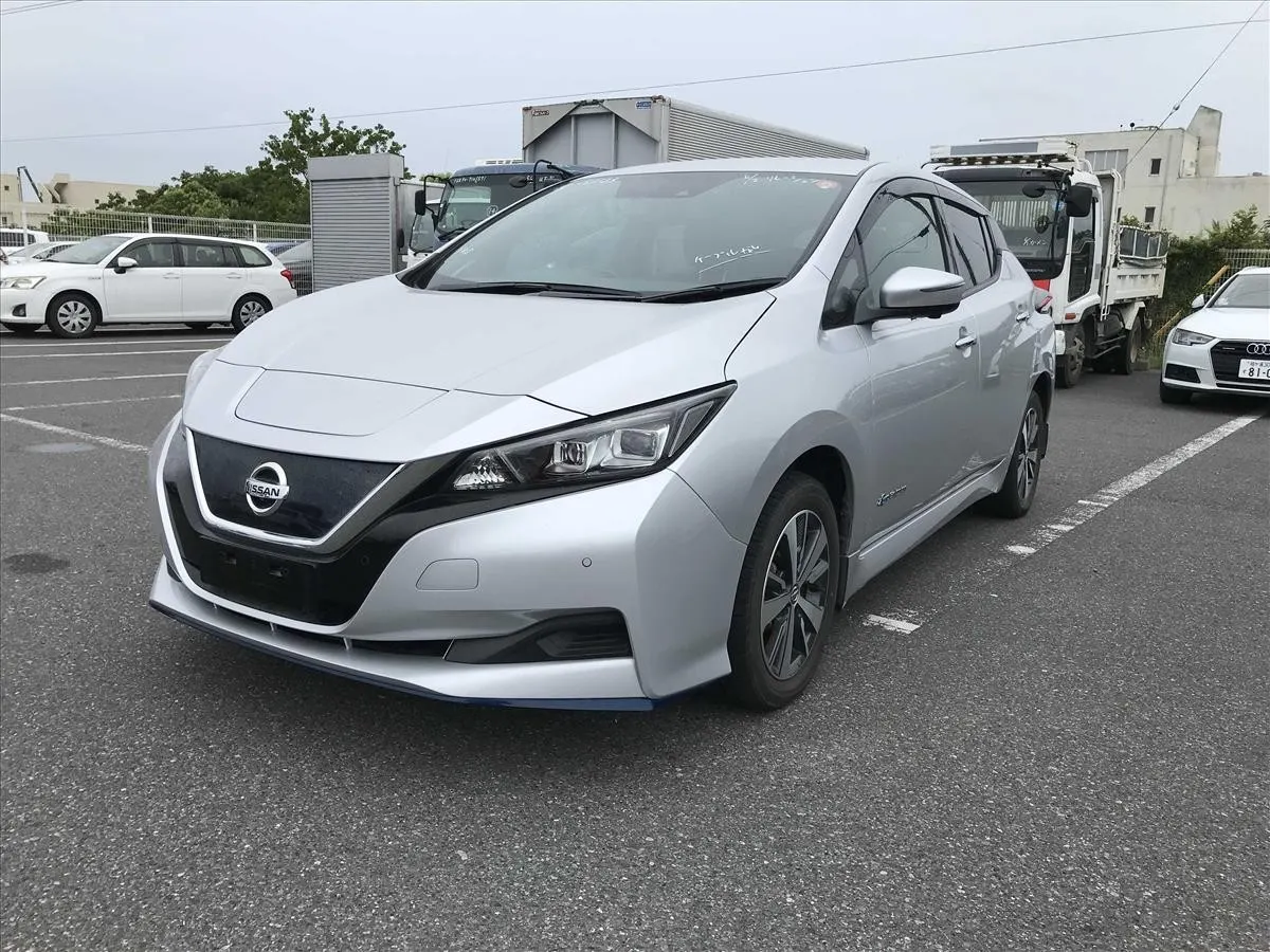 2019 Nissan Leaf e+ X (62kWh) — photo 3