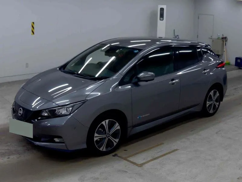 2022 Nissan Leaf e+ G (62kWh), photo 2