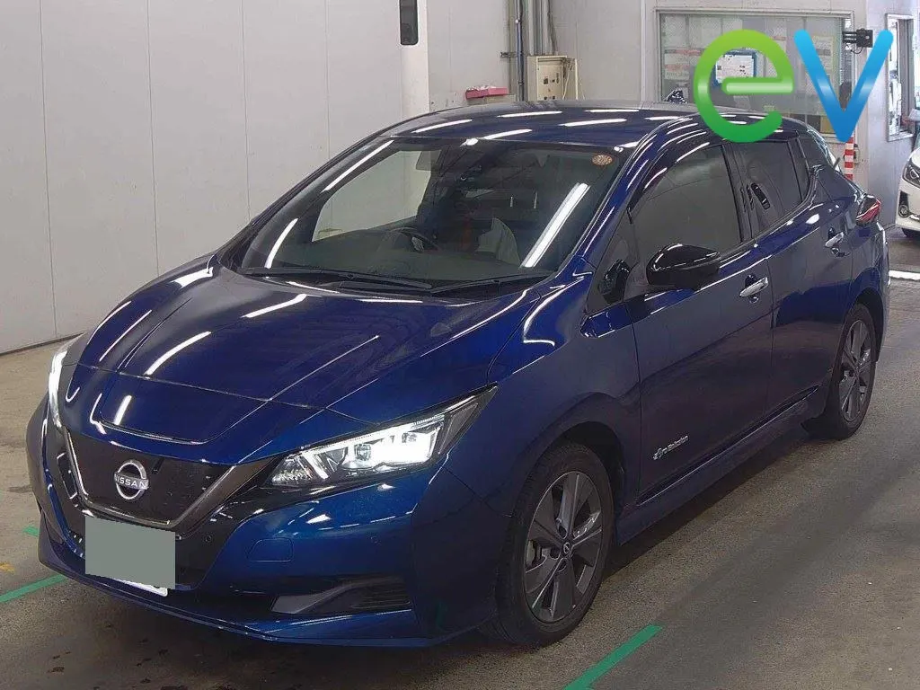 2021 Nissan Leaf e+ X (62kWh) — photo 4