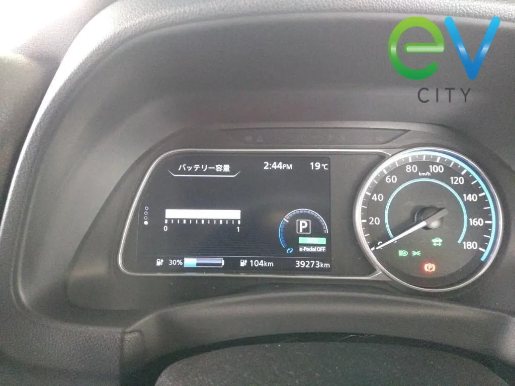 2021 Nissan Leaf e+ X (62kWh) — photo 8