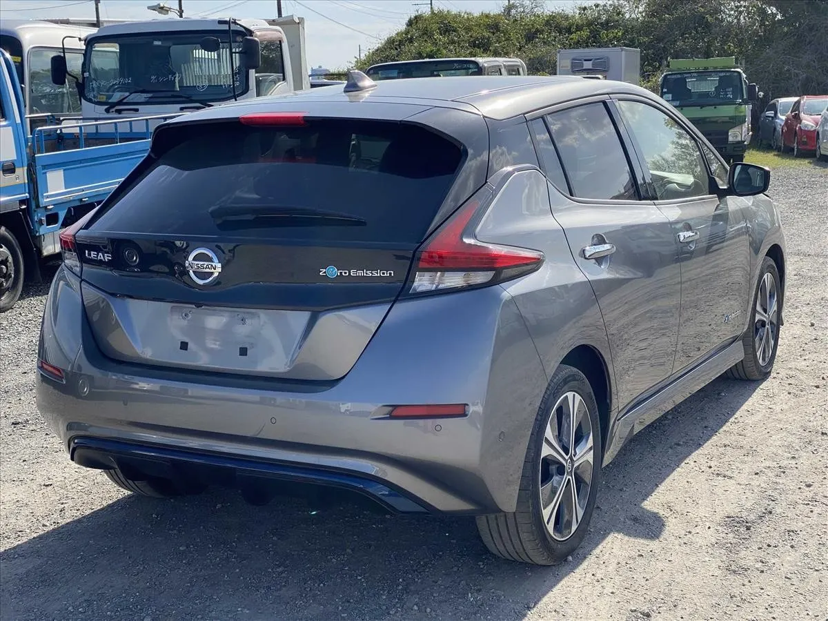 2020 Nissan Leaf e+ G (62kWh), photo 2