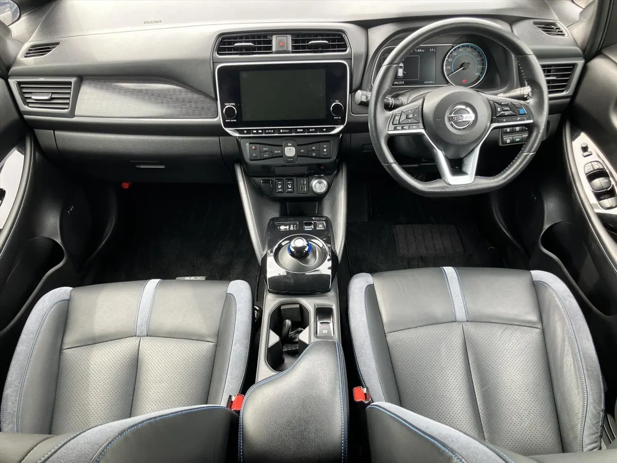 2020 Nissan Leaf e+ G (62kWh), photo 11