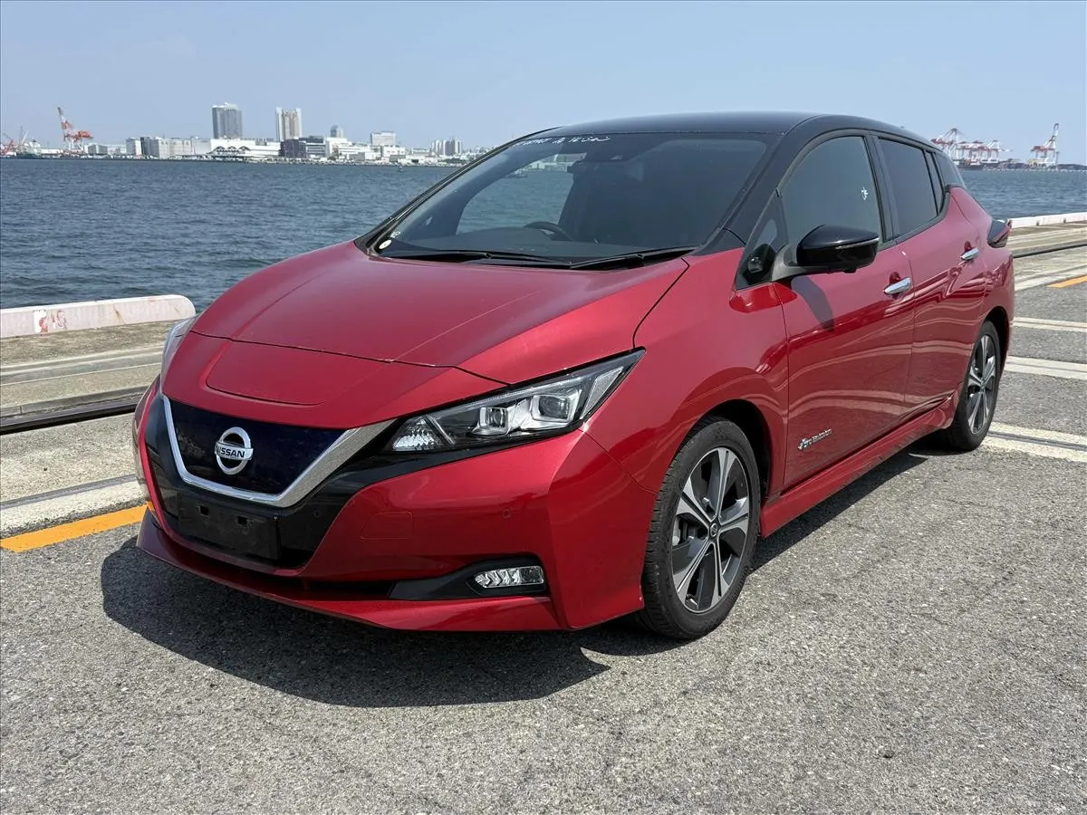 2020 Nissan Leaf X V Selection (40kWh) — photo 3
