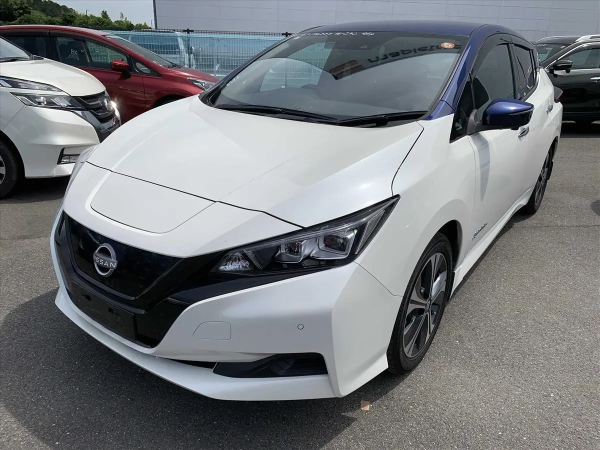 2021 Nissan Leaf X V Selection (40kWh) — photo 3