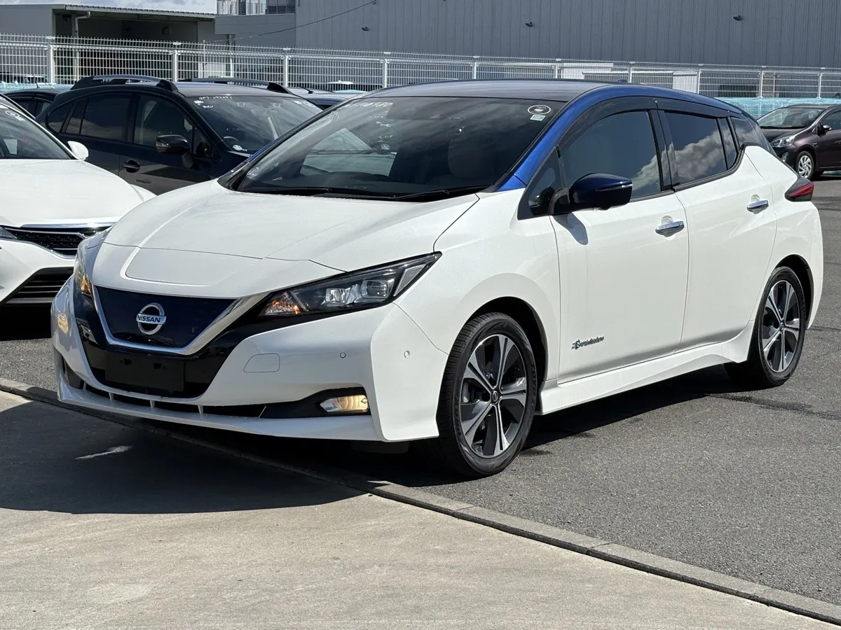 2021 Nissan Leaf G (40kWh), photo 3