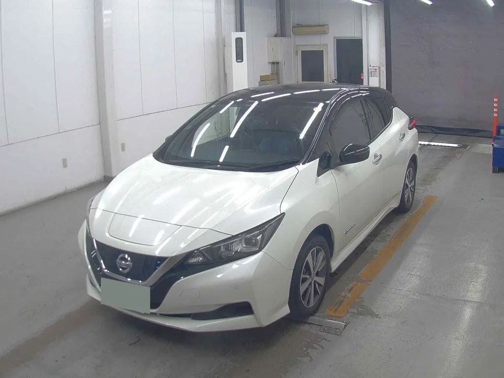 2020 Nissan Leaf 40X 86% SOH — photo 3