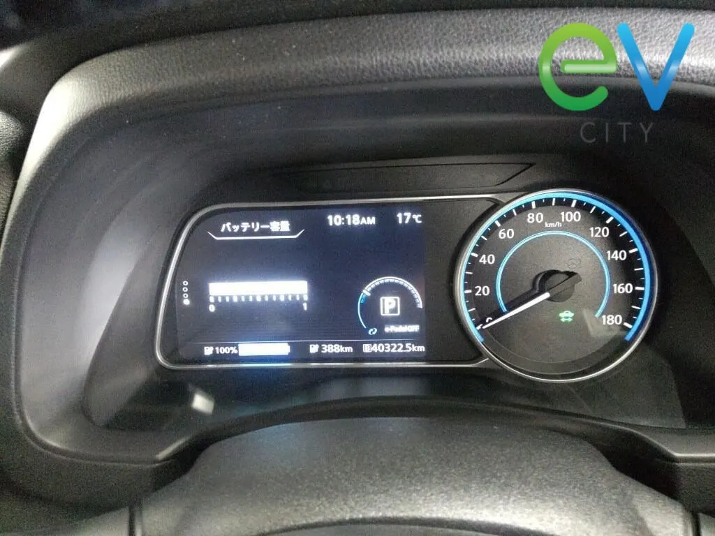 2019 Nissan Leaf e+ X (62kWh) — photo 6