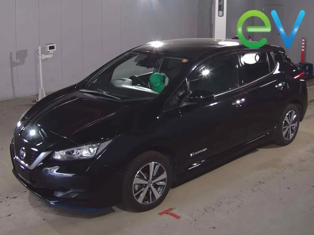 2019 Nissan Leaf e+ X (62kWh) — photo 4