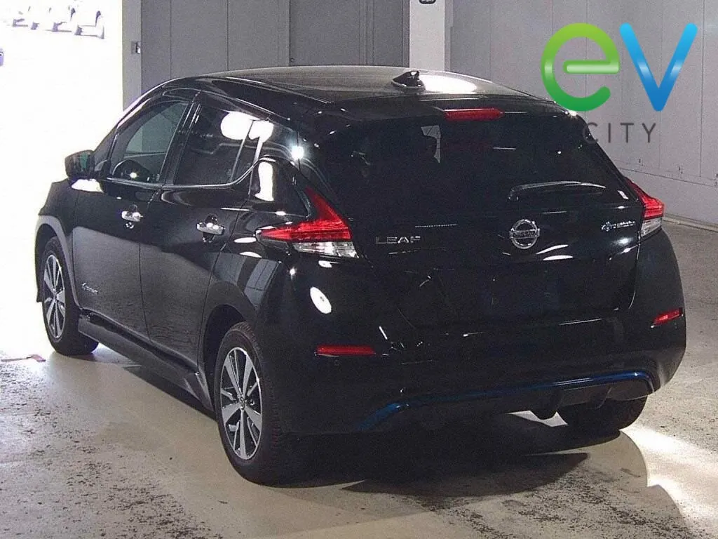 2019 Nissan Leaf e+ X (62kWh) — photo 3