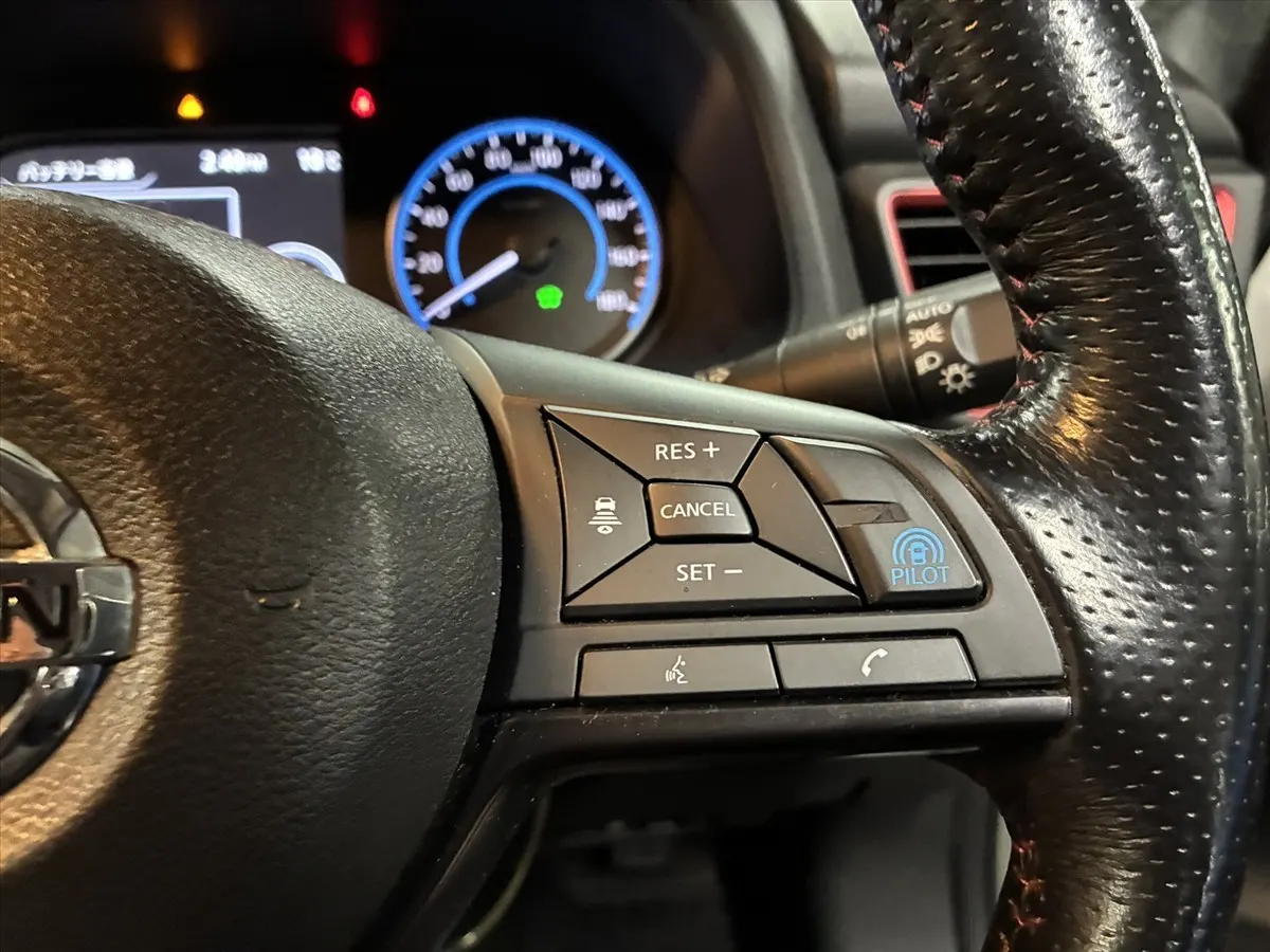 2019 Nissan Leaf Nismo (40kWh) — photo 8