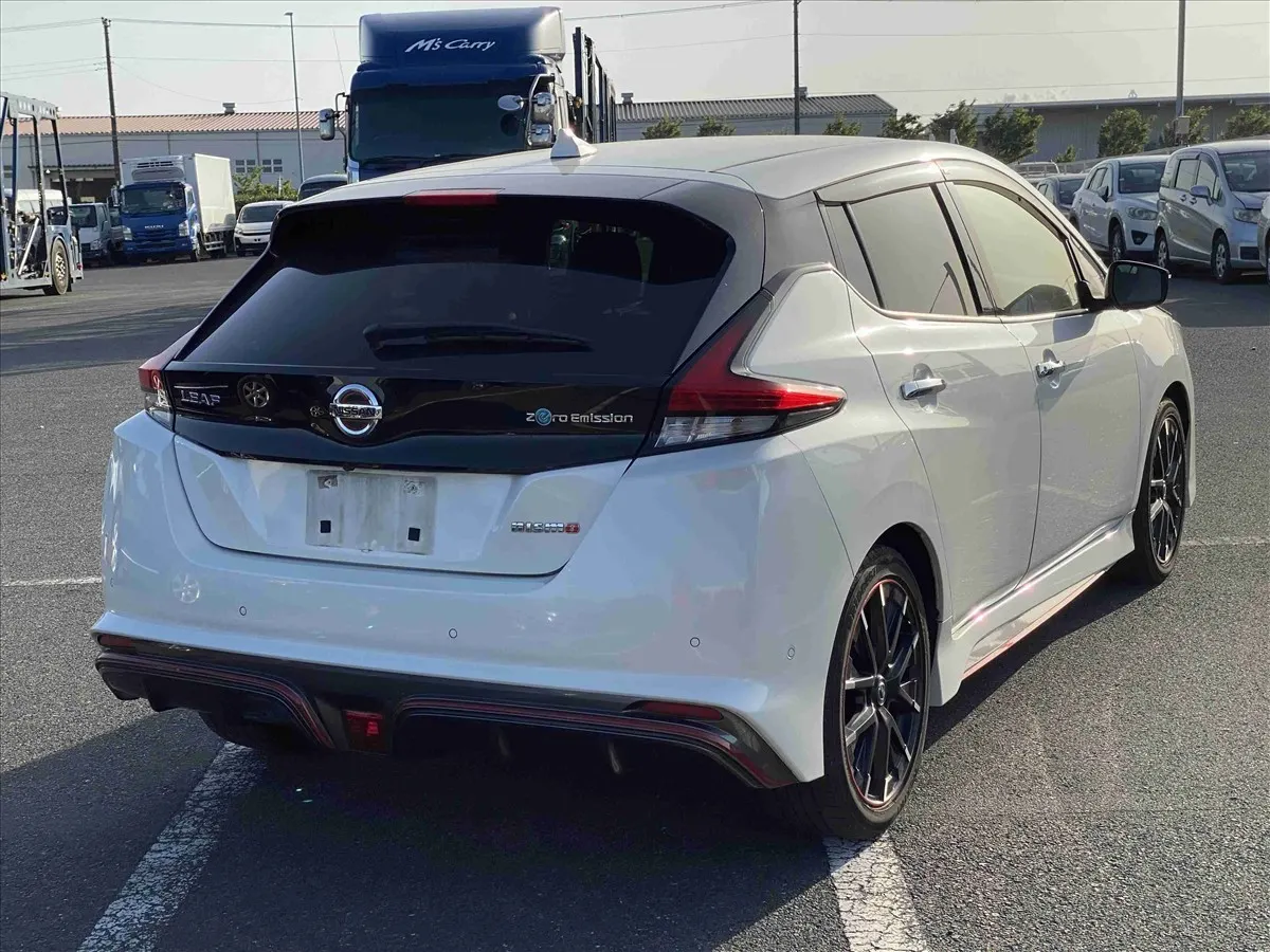 2019 Nissan Leaf Nismo (40kWh) — photo 2