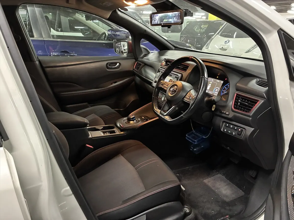 2019 Nissan Leaf Nismo (40kWh) — photo 6