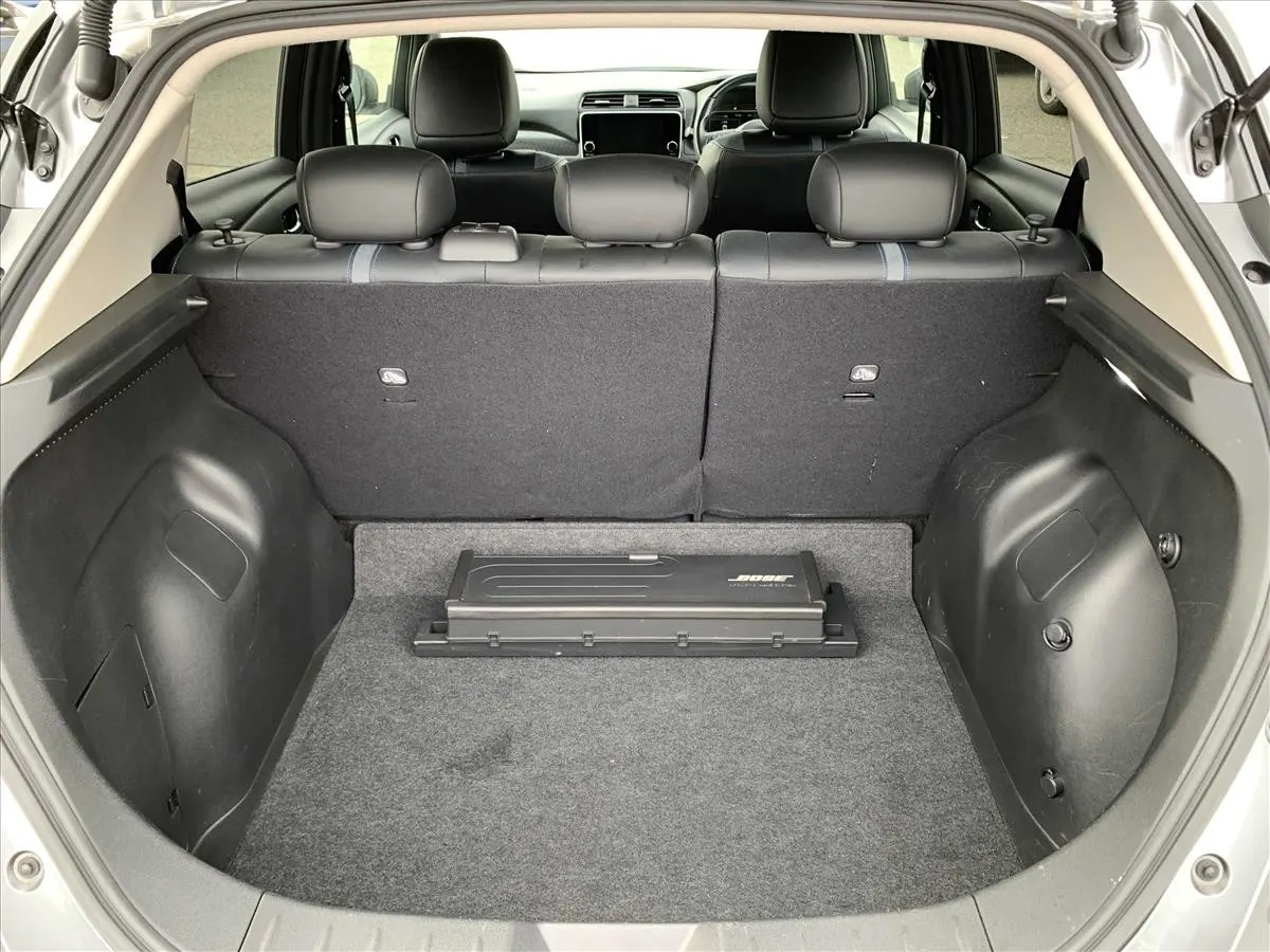2020 Nissan Leaf e+ G (62kWh) — photo 11