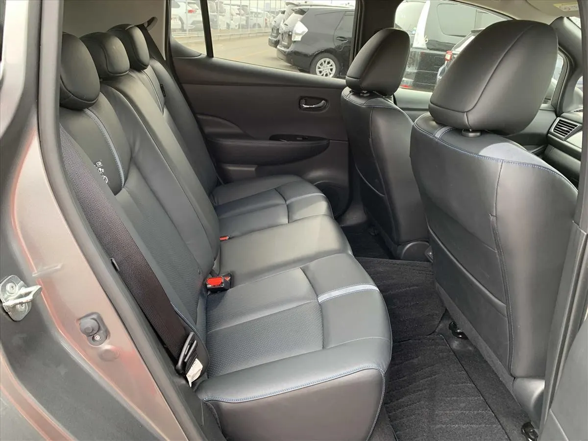 2020 Nissan Leaf e+ G (62kWh) — photo 10
