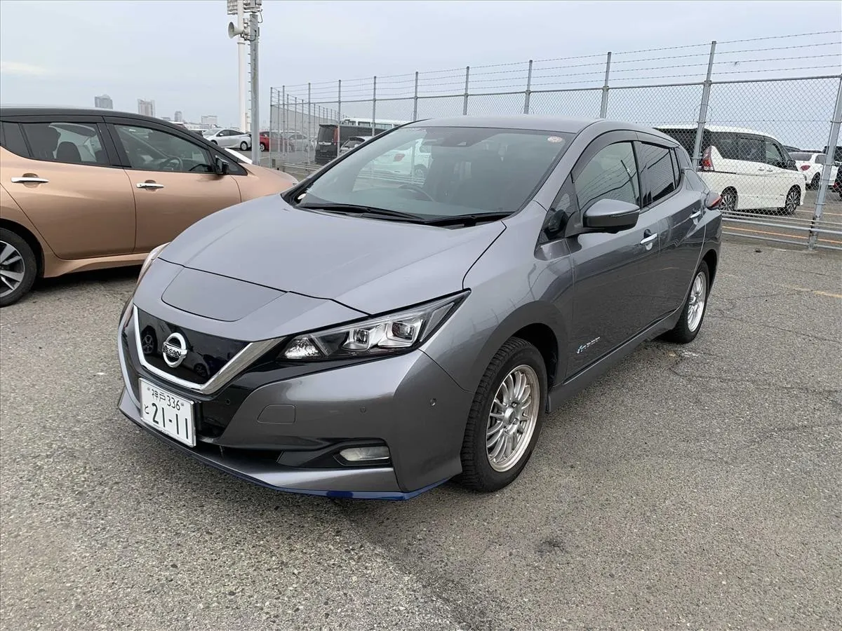 2020 Nissan Leaf e+ G (62kWh) — photo 3