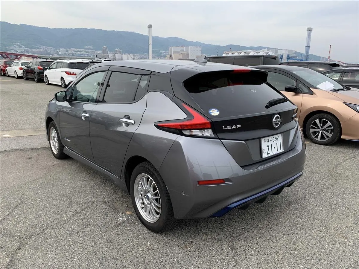2020 Nissan Leaf e+ G (62kWh) — photo 4