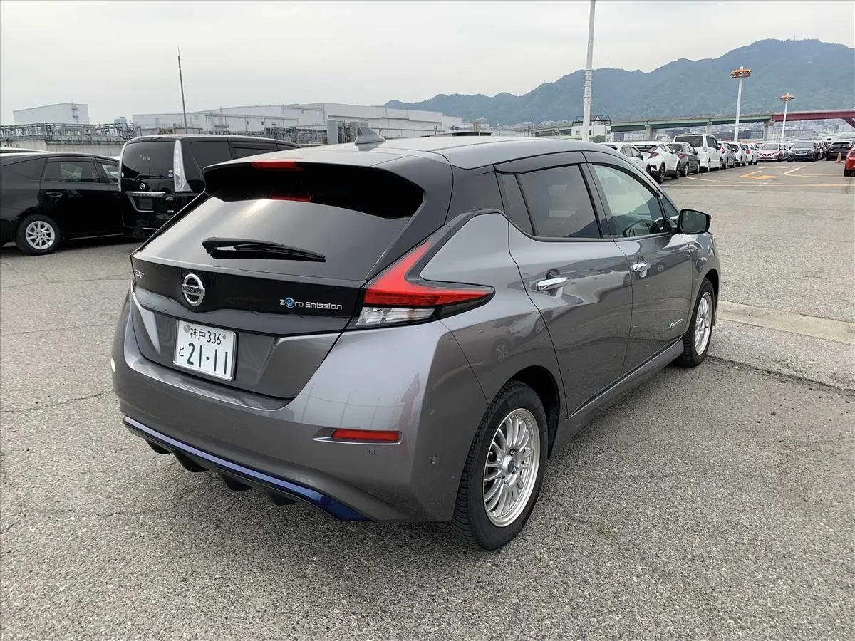 2020 Nissan Leaf e+ G (62kWh) — photo 2