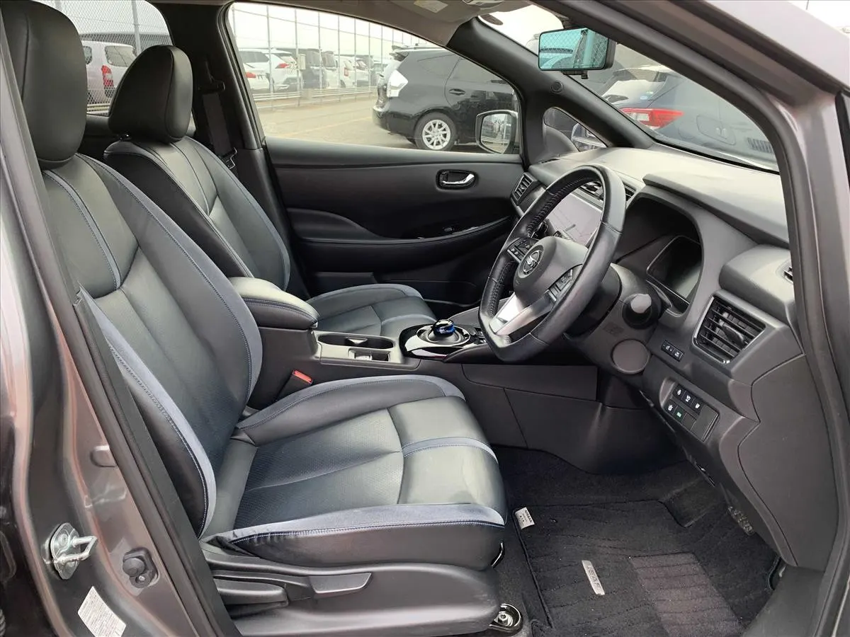 2020 Nissan Leaf e+ G (62kWh) — photo 6
