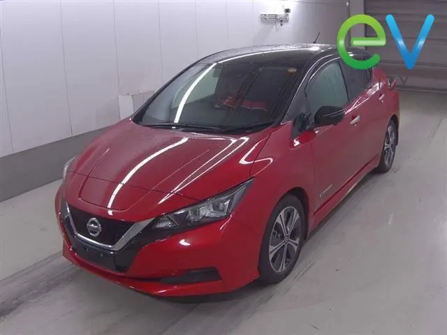 2021 Nissan Leaf X (40kWh) — photo 5