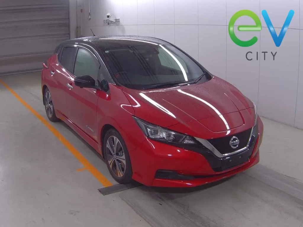 2021 Nissan Leaf X (40kWh) — photo 2