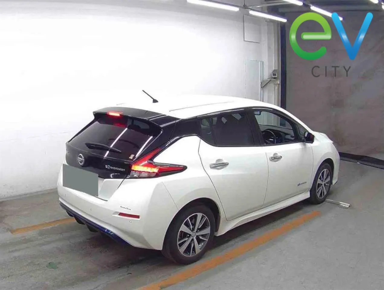 2019 Nissan Leaf e+ X (62kWh) — photo 2