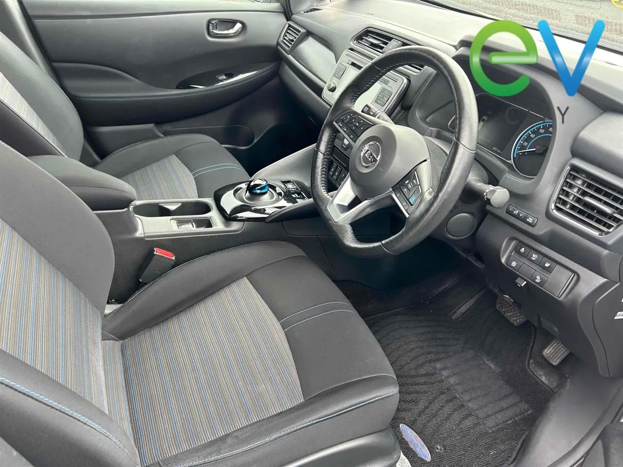 2019 Nissan Leaf e+ X (62kWh) — photo 9