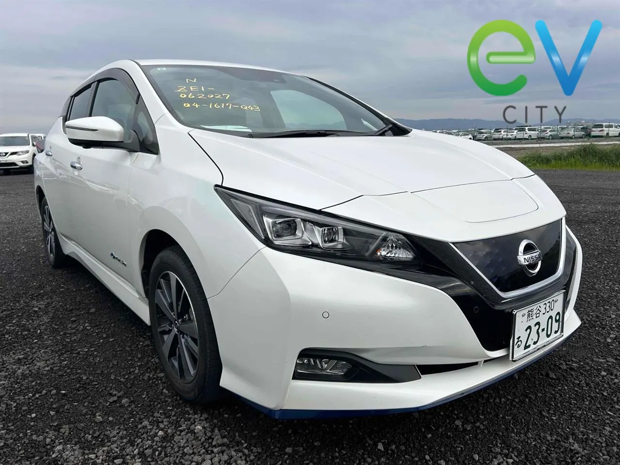 2019 Nissan Leaf e+ X (62kWh) — photo 5