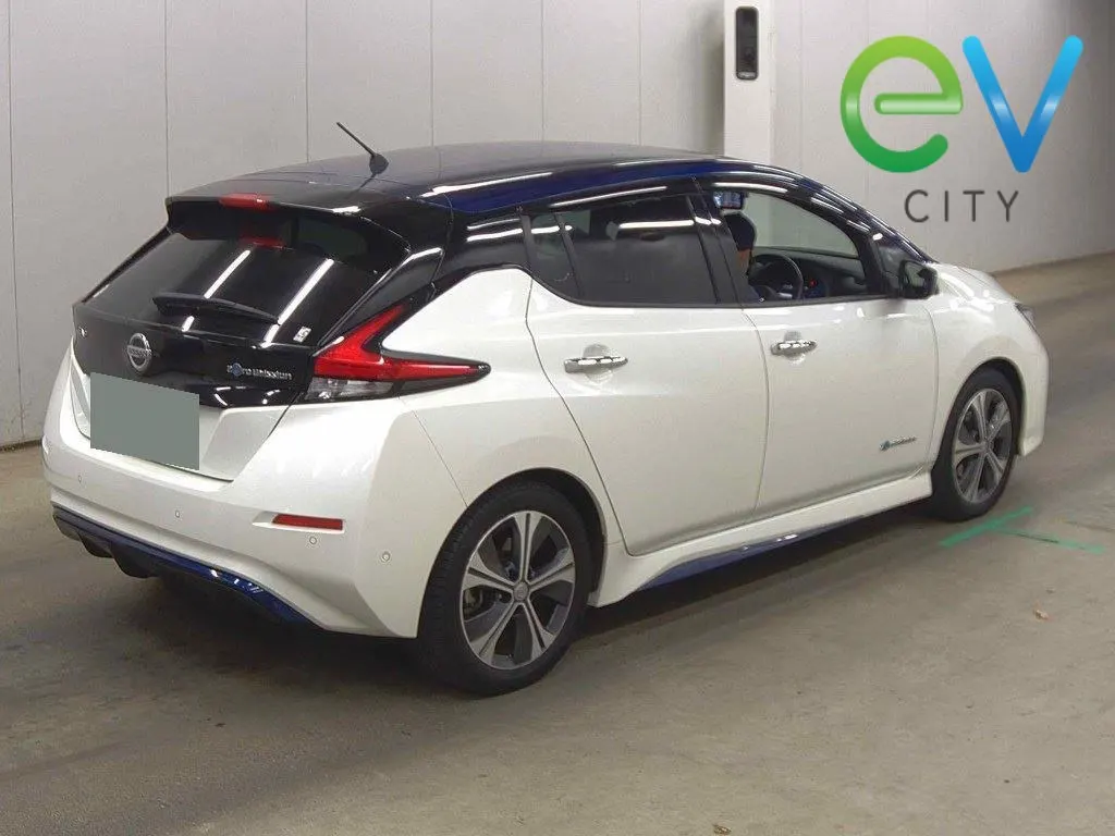 2018 Nissan Leaf G (40kWh) Pro Pilot, 360 Camera — photo 2