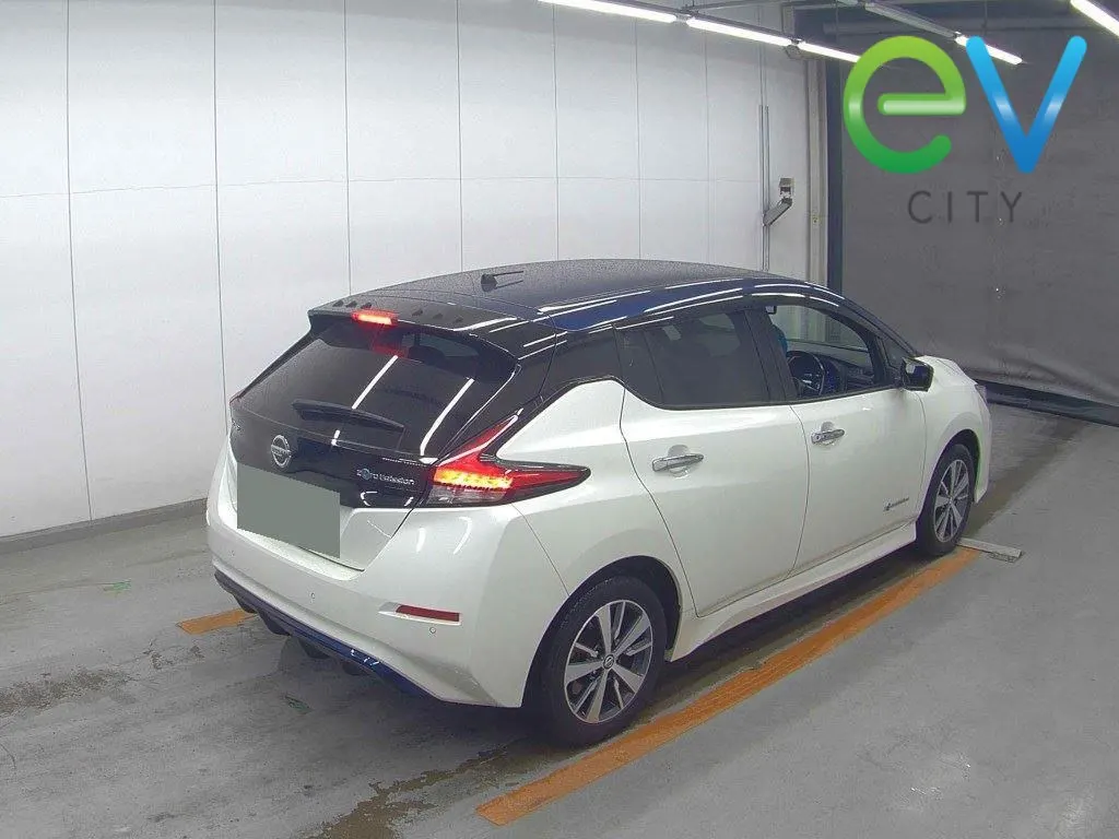2019 Nissan Leaf e+ X (62kWh) — photo 2