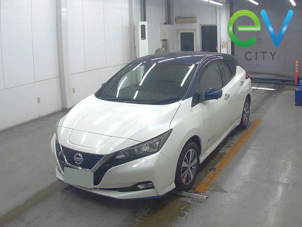 2019 Nissan Leaf e+ X (62kWh) — photo 4