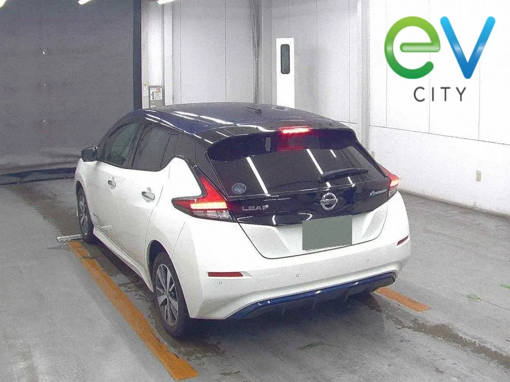 2019 Nissan Leaf e+ X (62kWh) — photo 3
