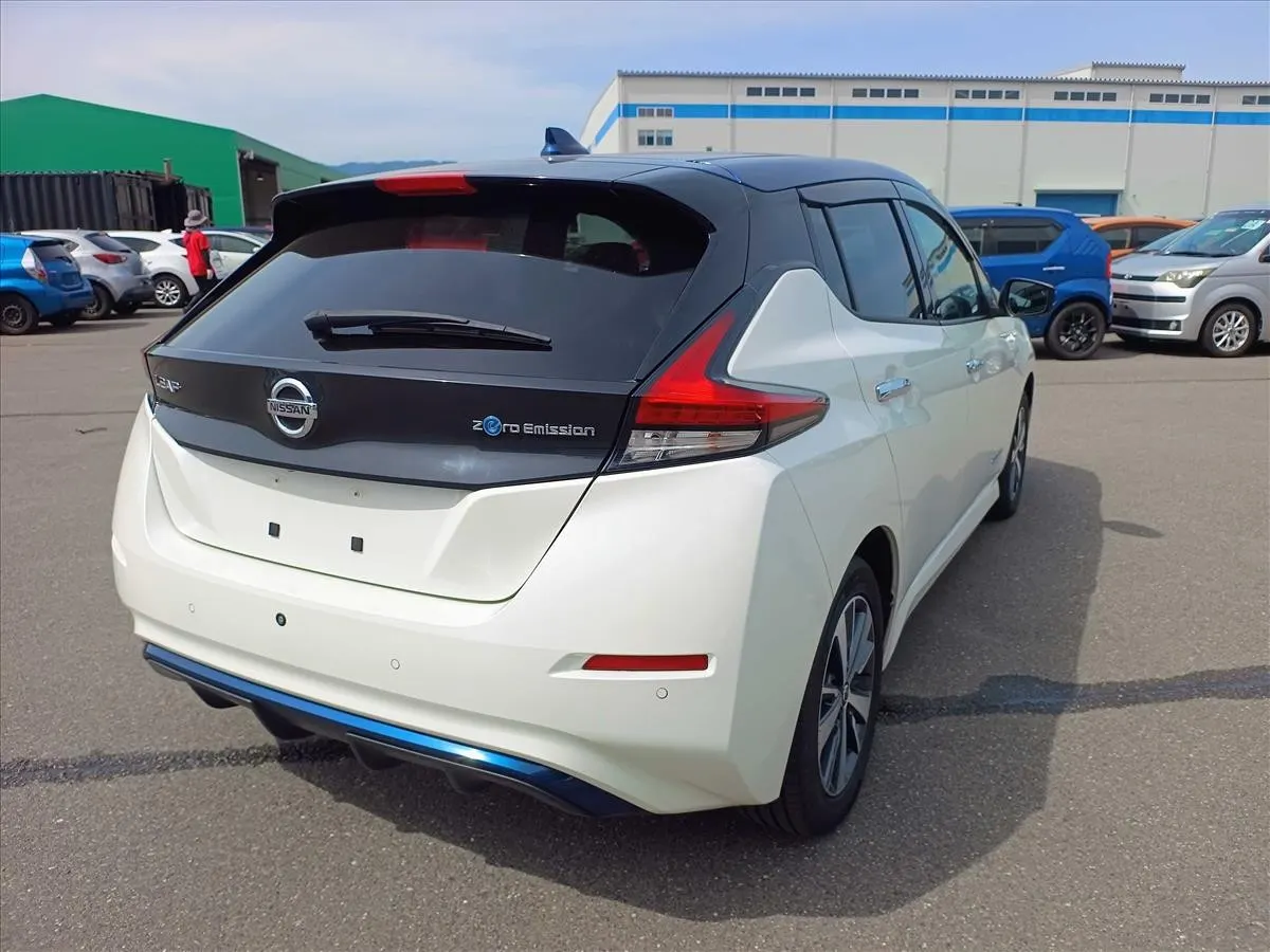 2021 Nissan Leaf e+ X (62kWh), photo 2