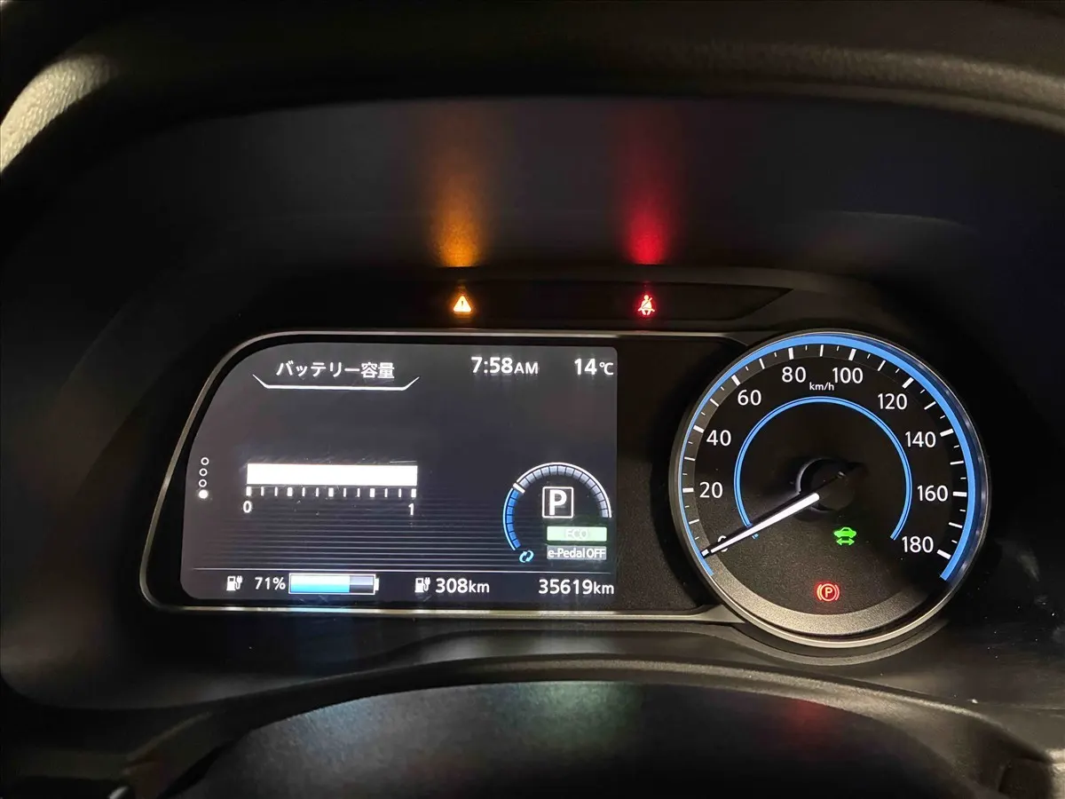 2021 Nissan Leaf e+ X (62kWh), photo 8