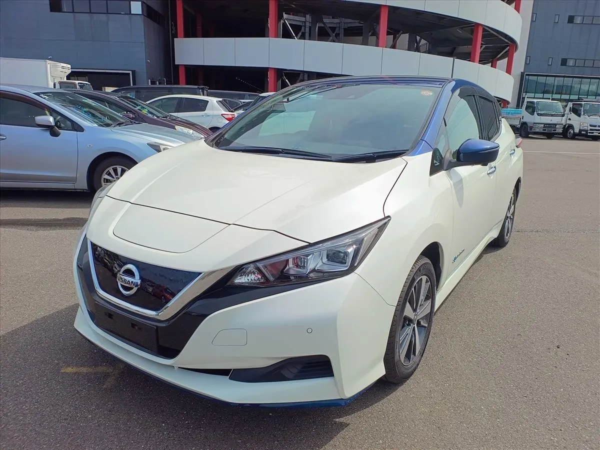 2021 Nissan Leaf e+ X (62kWh), photo 3